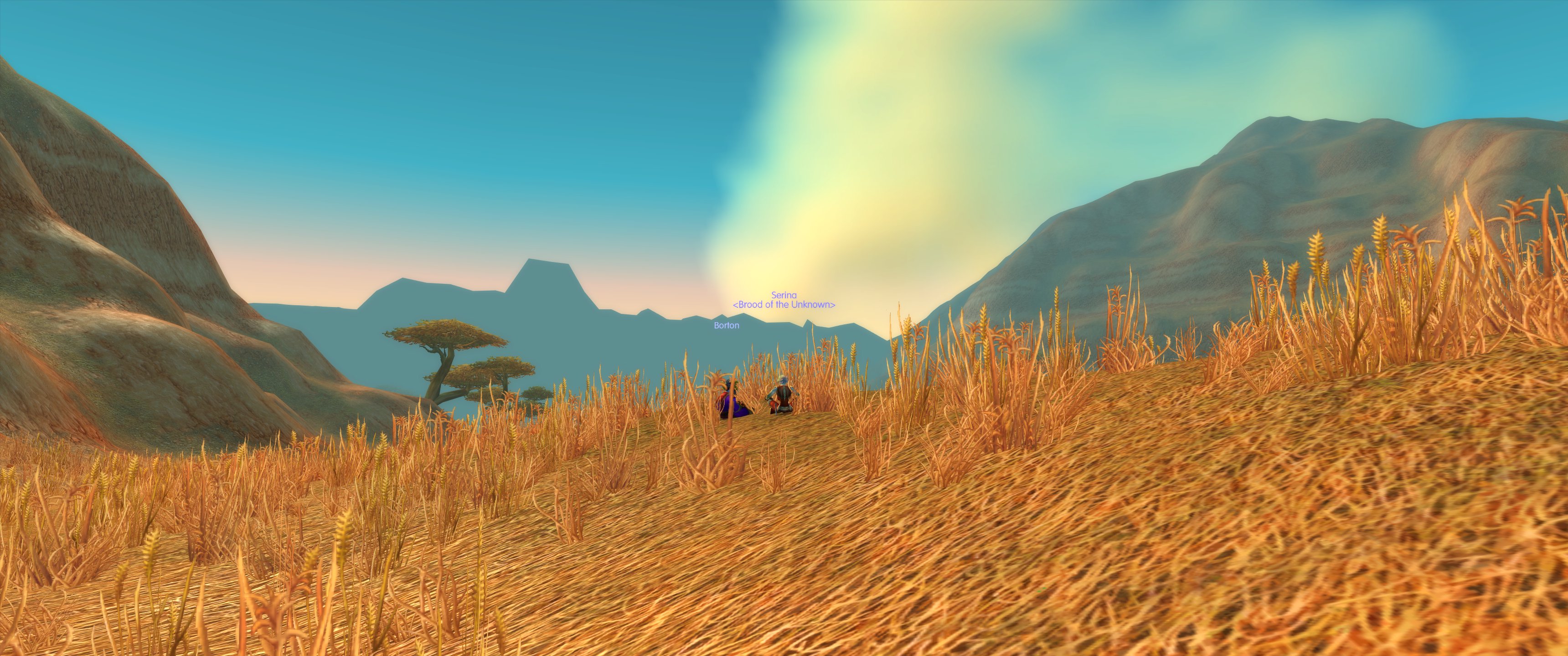Two players sitting in golden fields with a backdrop of mountains and a blue sky enjoying the moment together wordlessly.