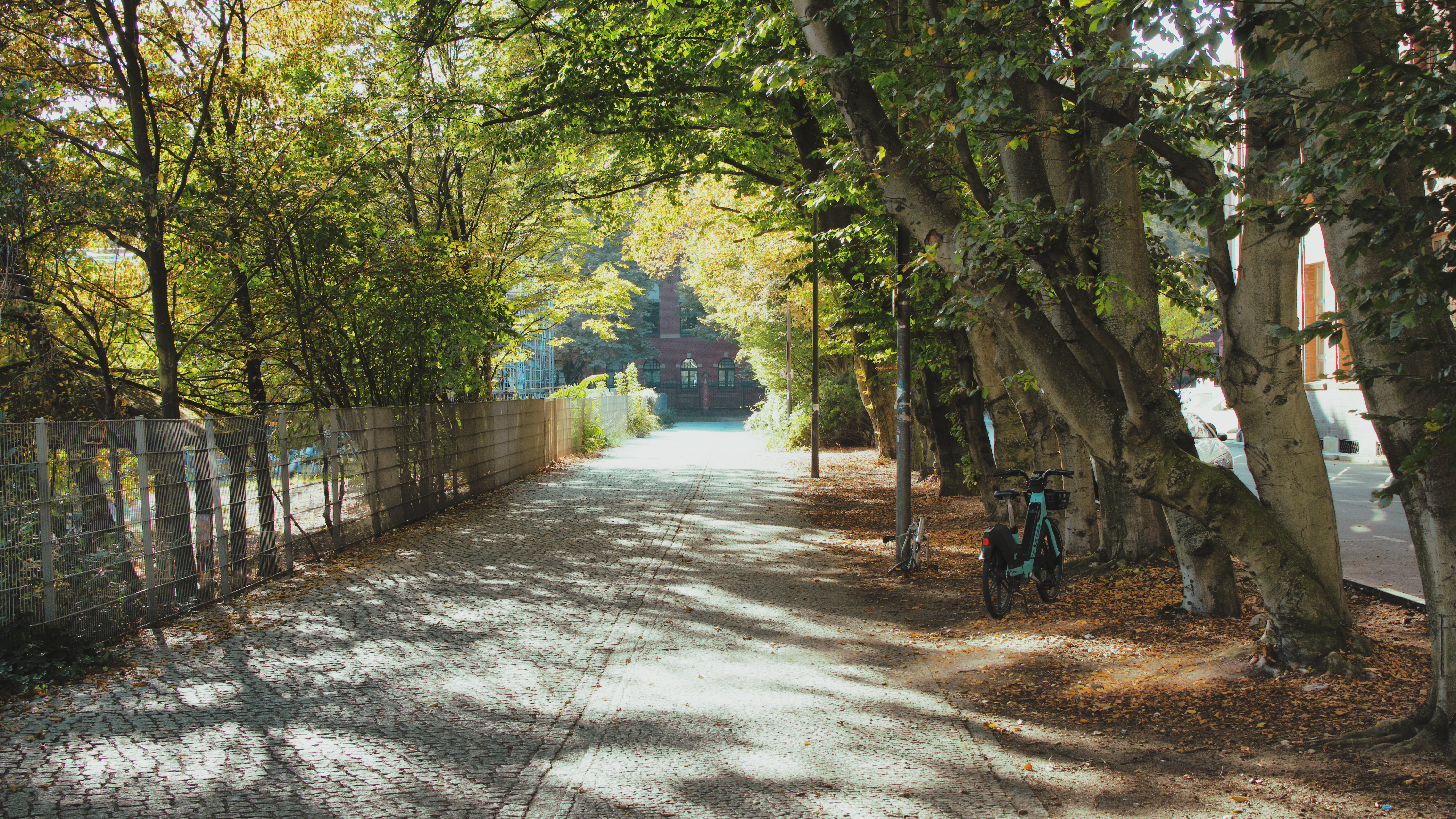 An image of A picture of a path in Berlin surrounded by trees, giving the scene a lot of lovely colour contrasts.