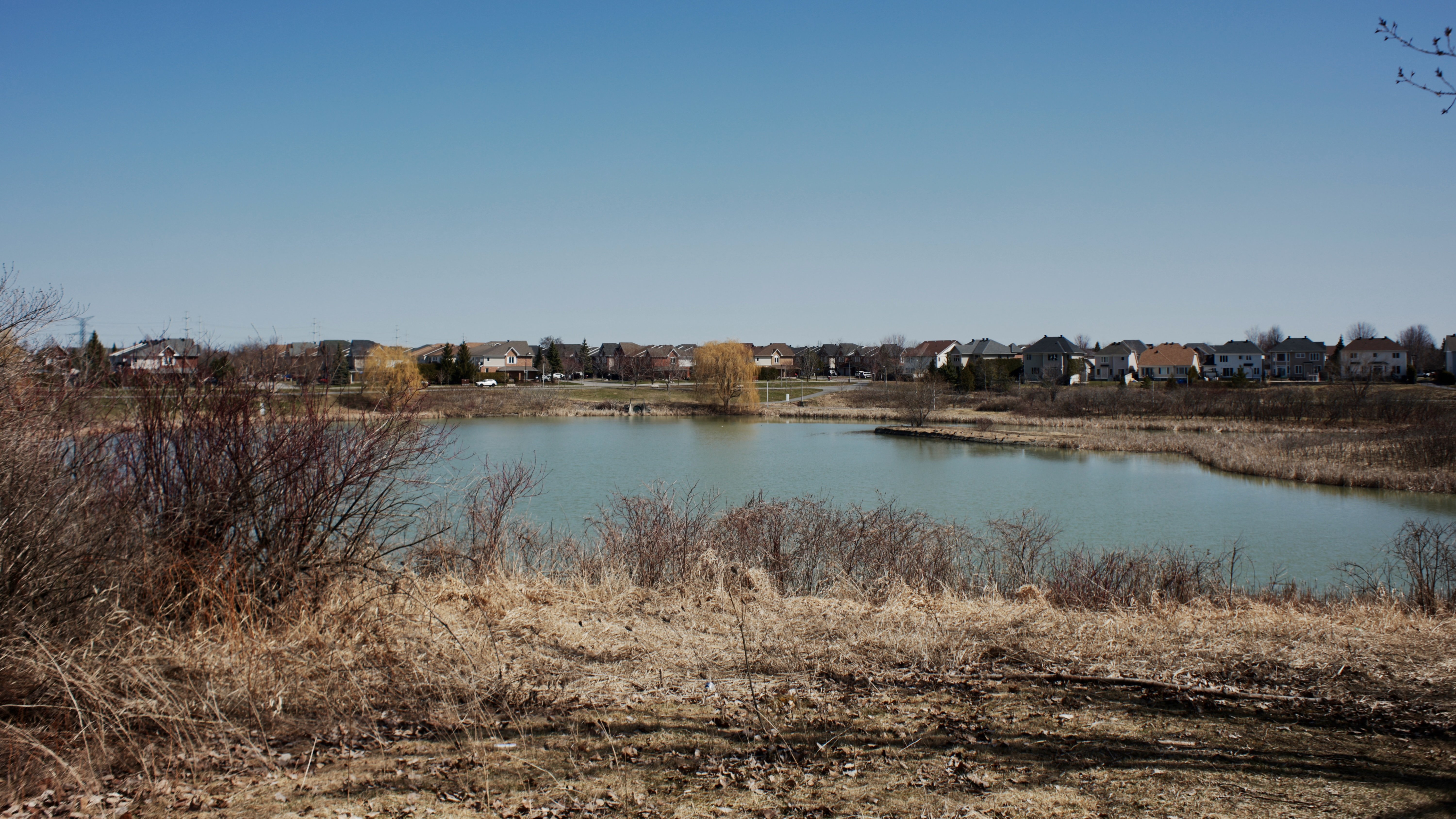 An image of A path by a pond in a suburban environment.