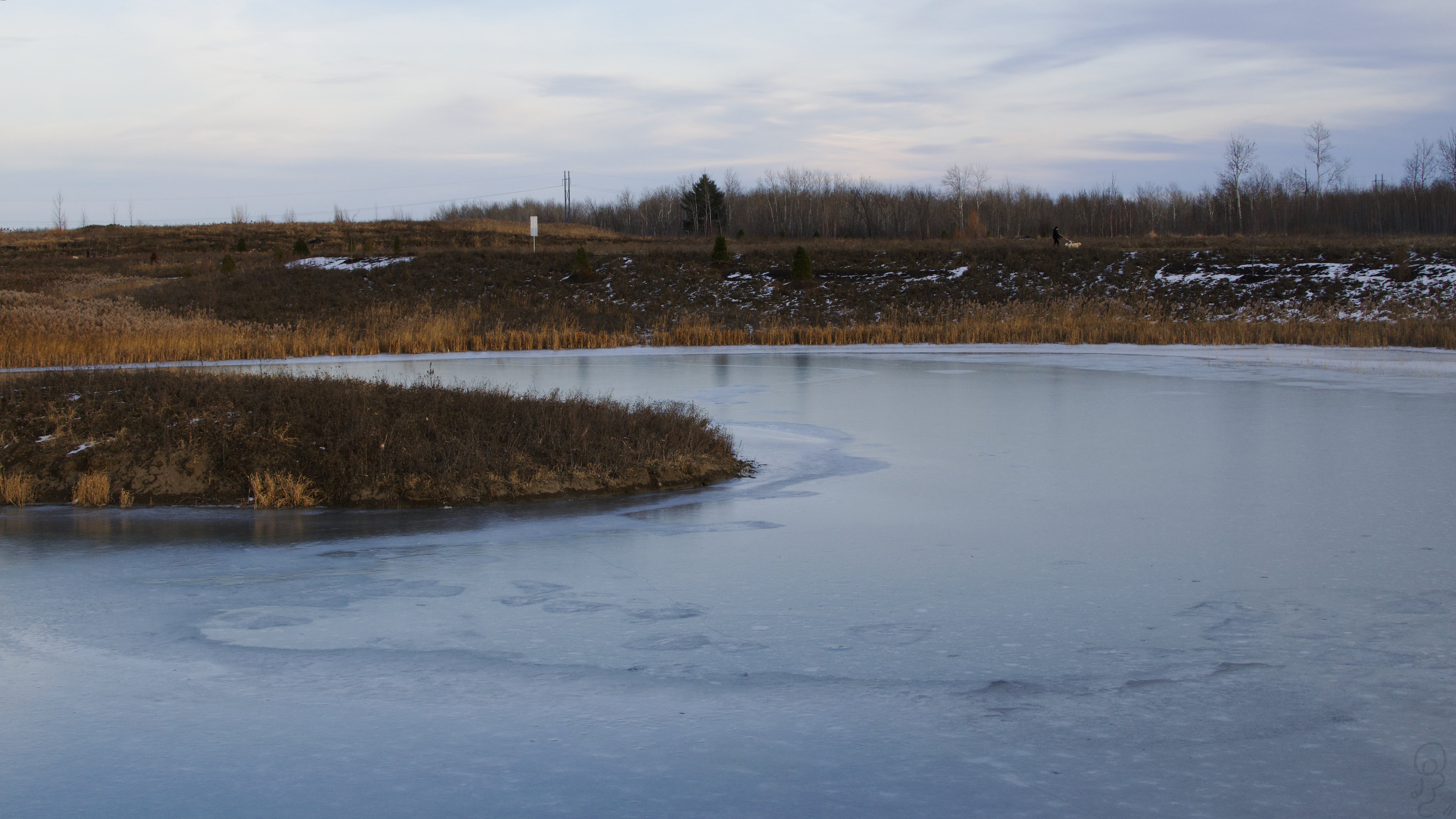 An image of A picture of the small island in a retaining pond near a walking path