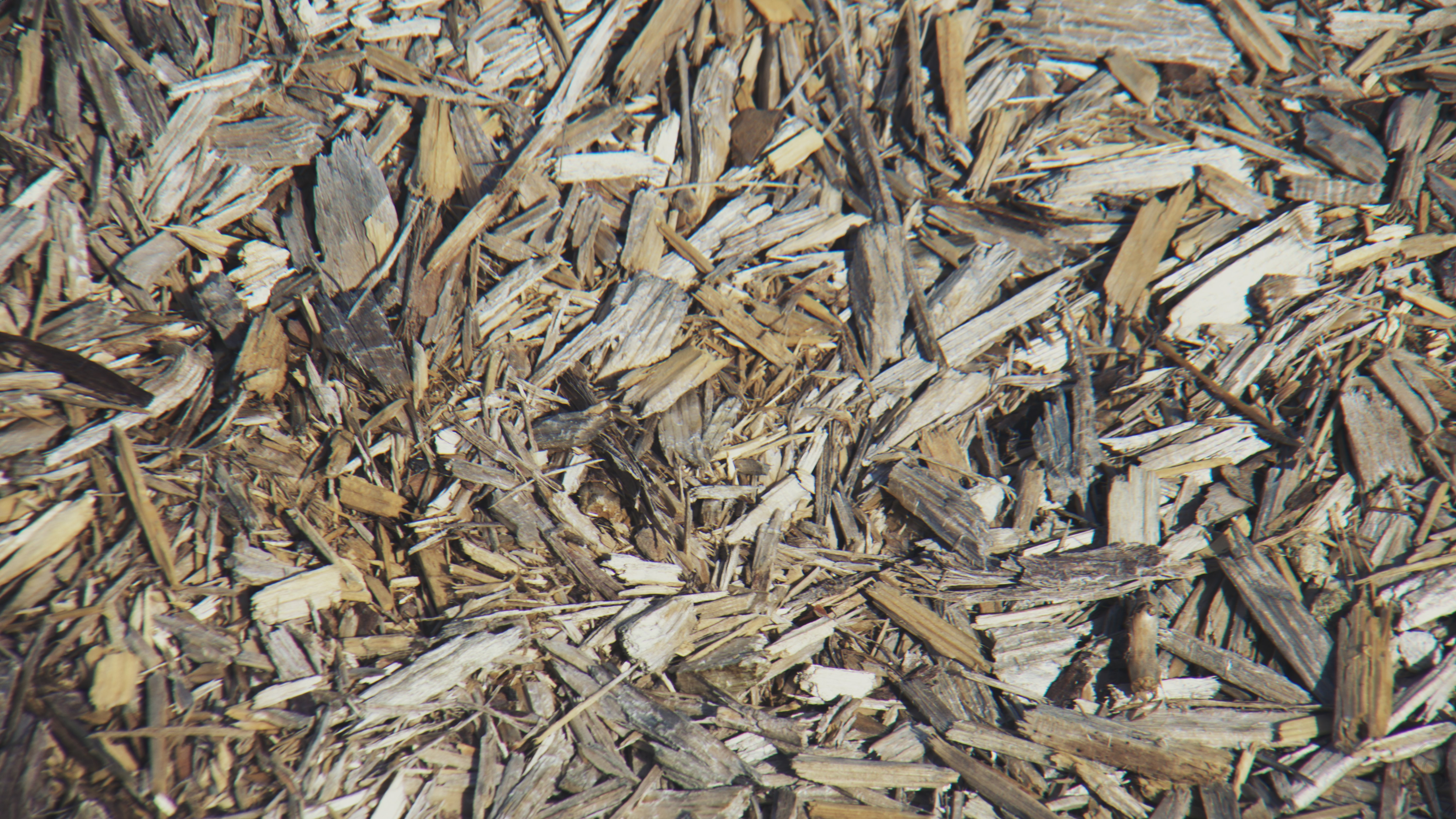 An image of A bunch of woodchips spread along a path.
